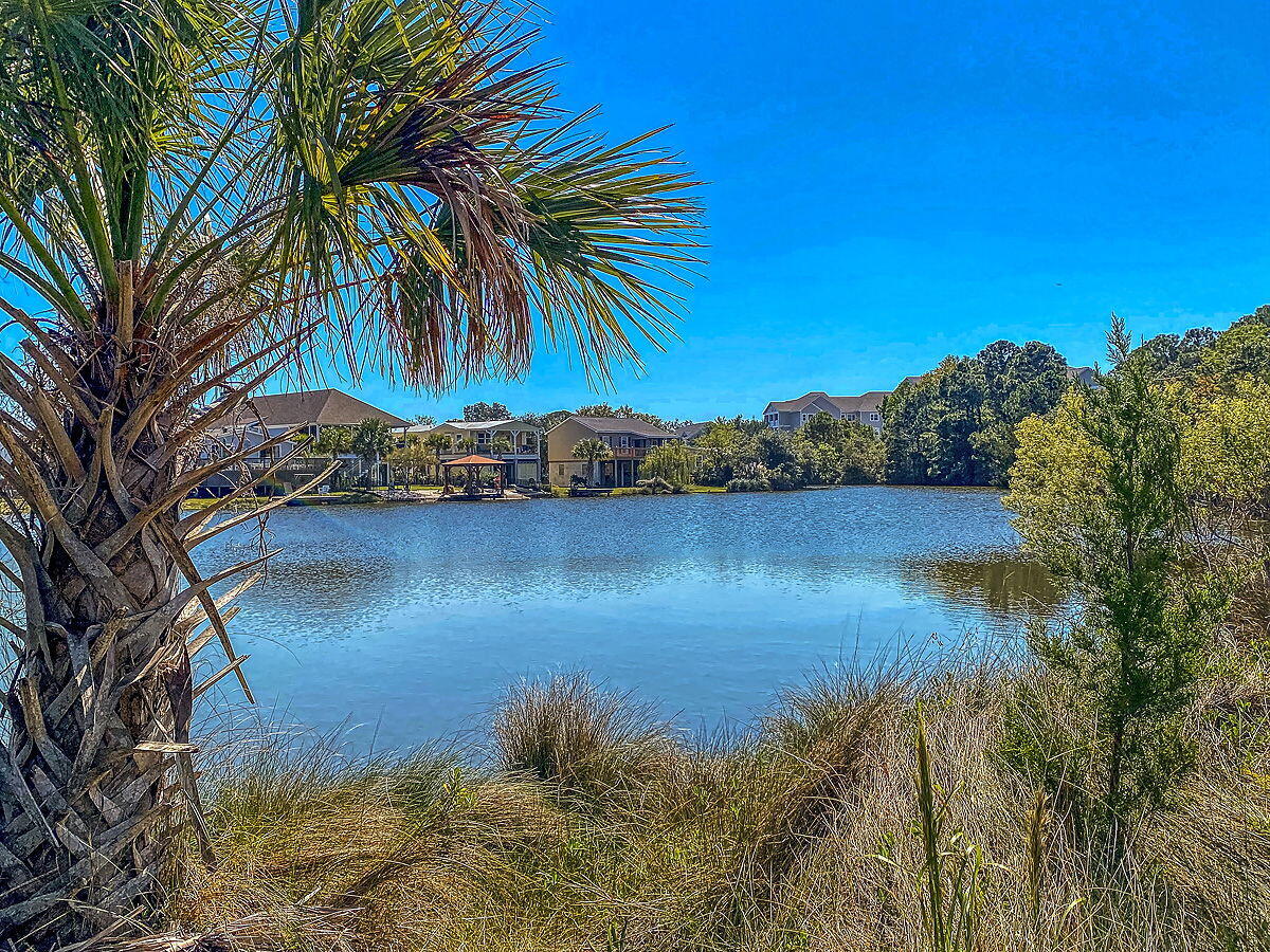 1620 Refuge Run Charleston, SC 29412 - Photo 38 of 39 CREM_Riverfront Amenities_003