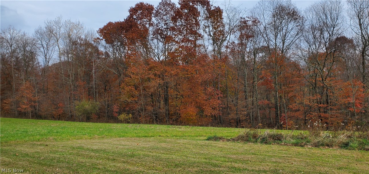 18640 Sugartree Road Freeport, OH 43973 - Photo 31 of 33