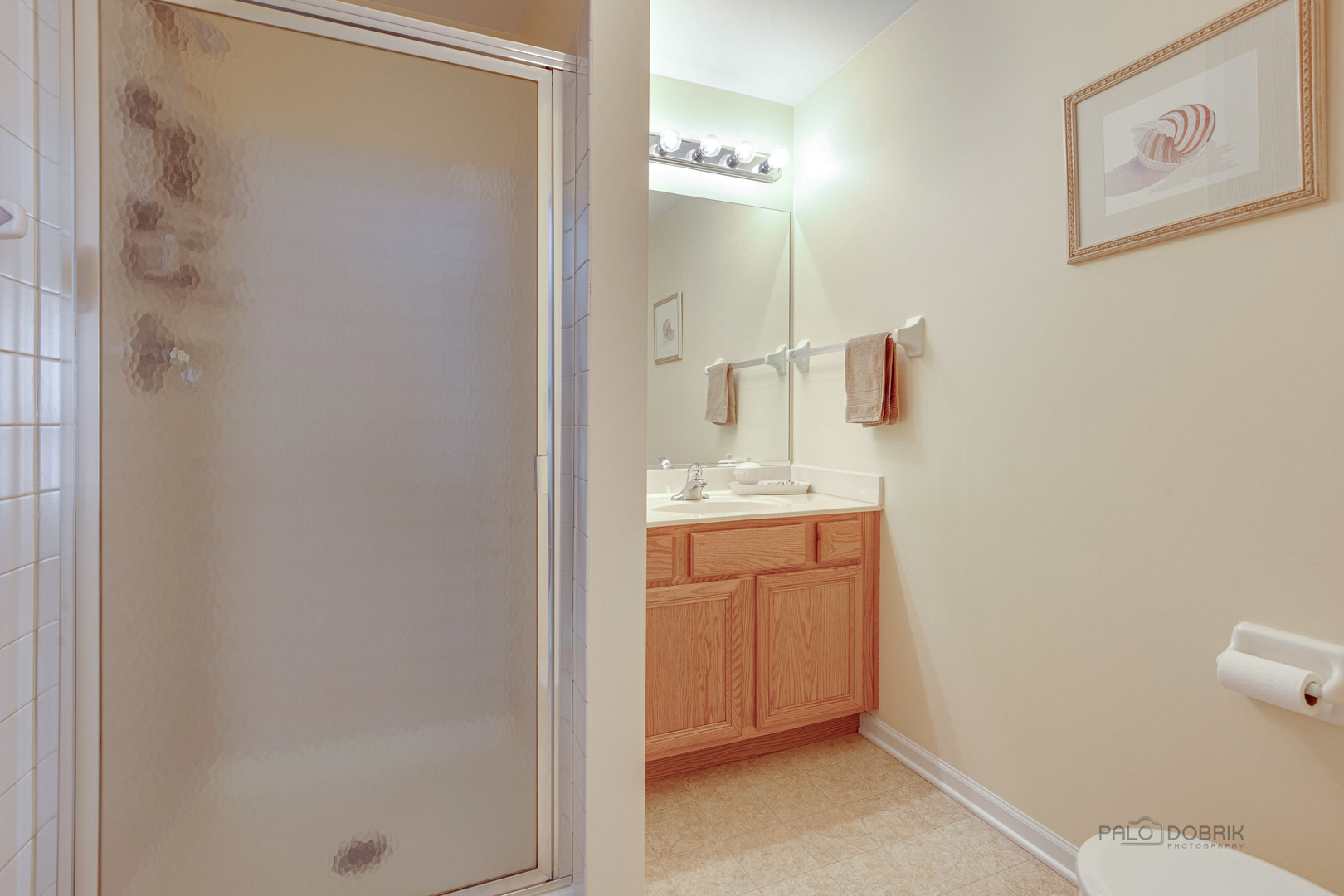 Undisclosed Address Long Grove, IL 60060 - Photo 25 of 35 a bathroom with a sink and a mirror