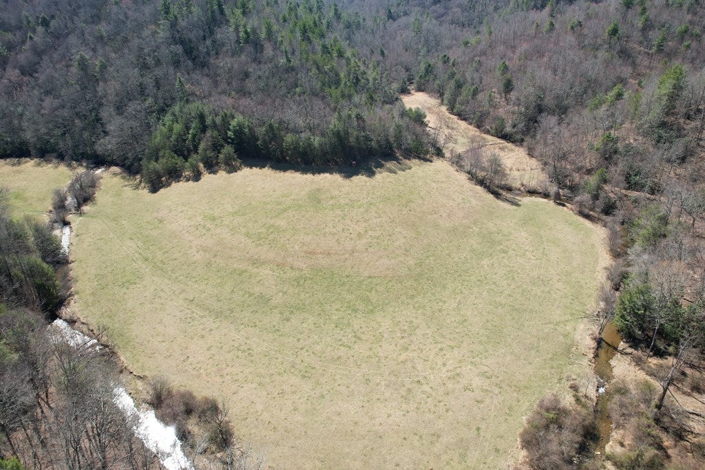 Tbd Tbd Pine Grove Road Austinville, VA 24312 - Photo 12 of 26 Gallery Image 12