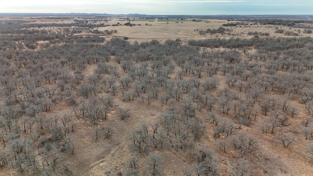 0 Stephens Lane Newcastle, TX 76372 - Photo 2 of 28 Heavy brush on the northern part of the property make great deer and turkey hunting.