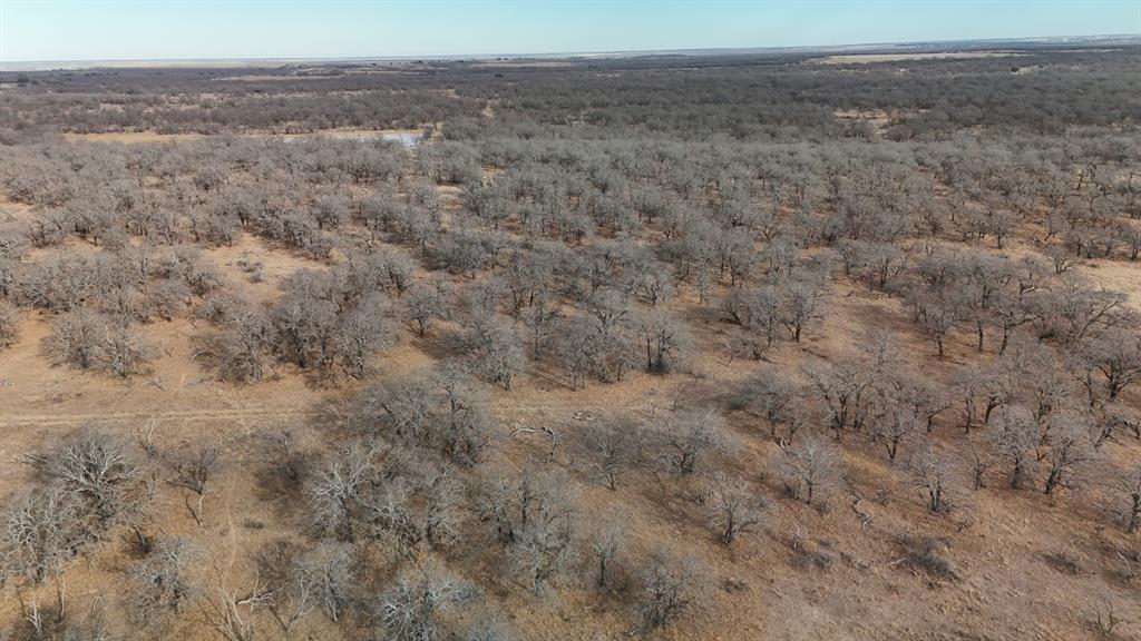 0 Stephens Lane Newcastle, TX 76372 - Photo 22 of 28 Good brush cover.
