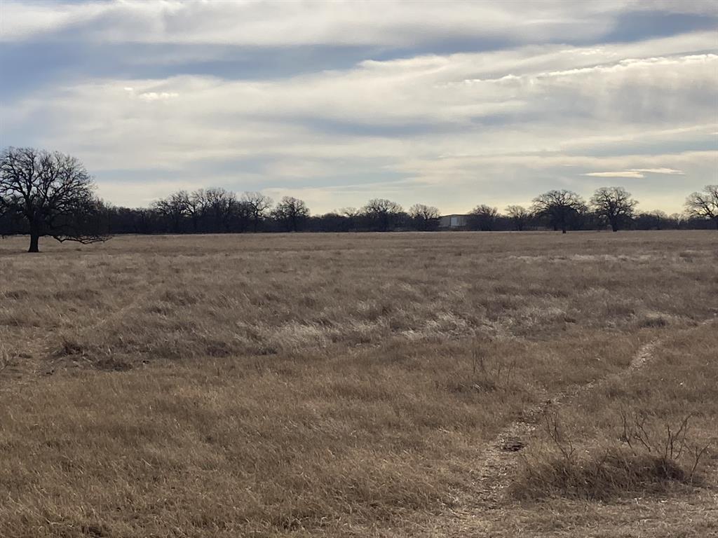 0 Stephens Lane Newcastle, TX 76372 - Photo 27 of 28 Excellent cover of grass.