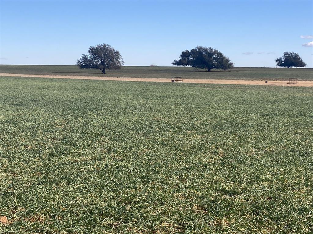 0 Stephens Lane Newcastle, TX 76372 - Photo 3 of 28 Wheat on fertile Sagerton loam soils