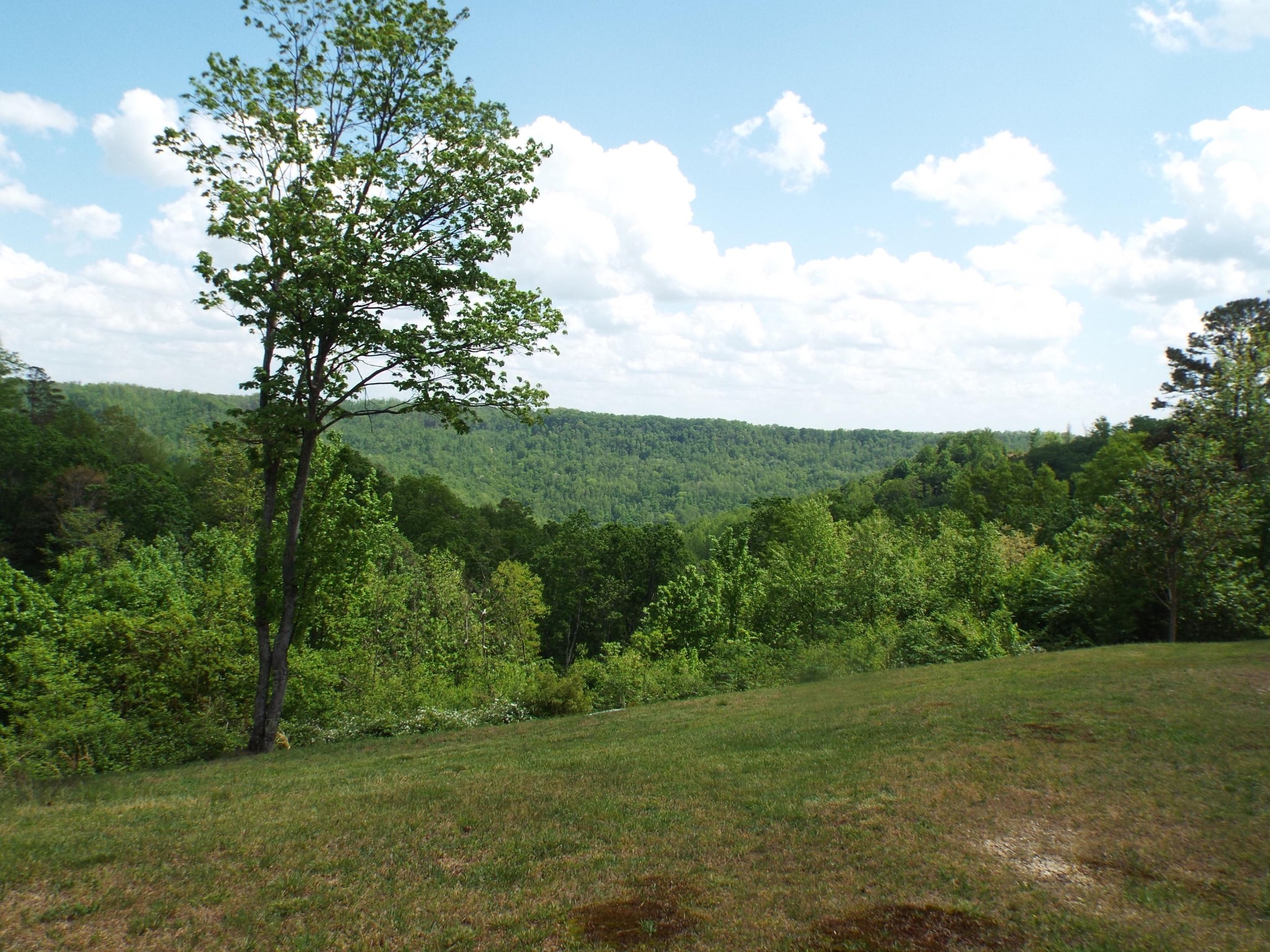 2255 Doubletop Road Jamestown, TN 38556 - Photo 16 of 24 Gallery Image 16