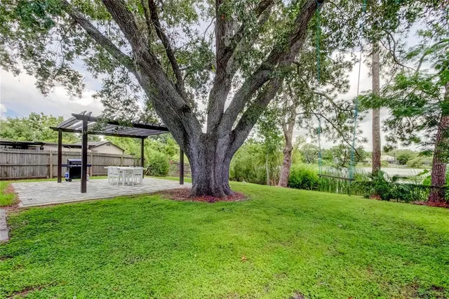 a view of a backyard with large trees