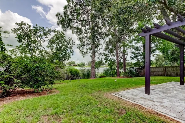 a view of a park with plants and large trees