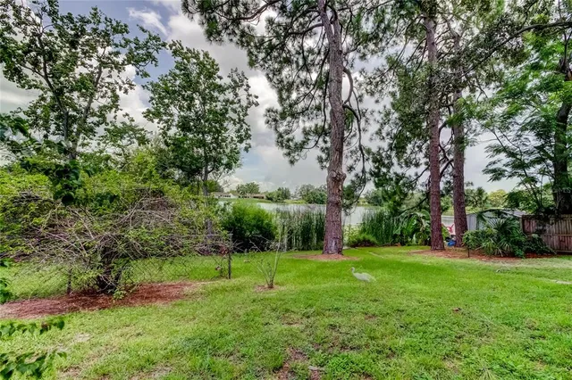 a view of a park with large trees