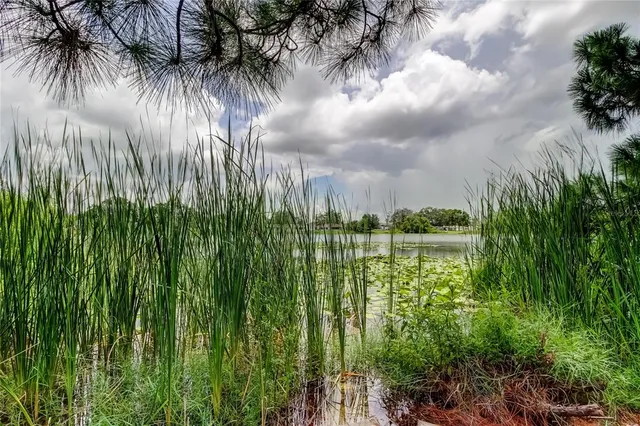 a view of a backyard with a garden