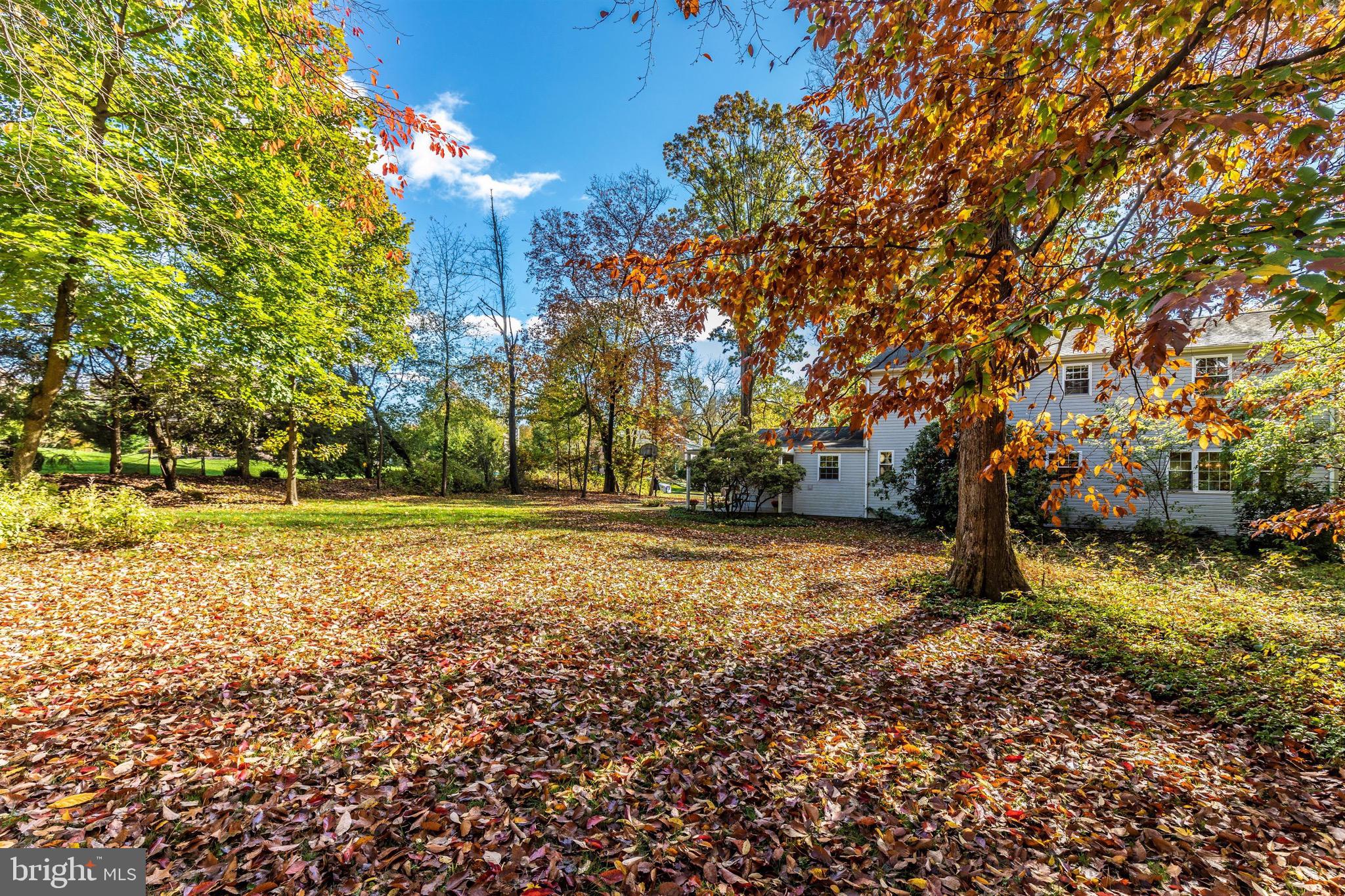 1656 Pembrook Road Ambler, PA 19002 - Photo 53 of 60 Huge yard!