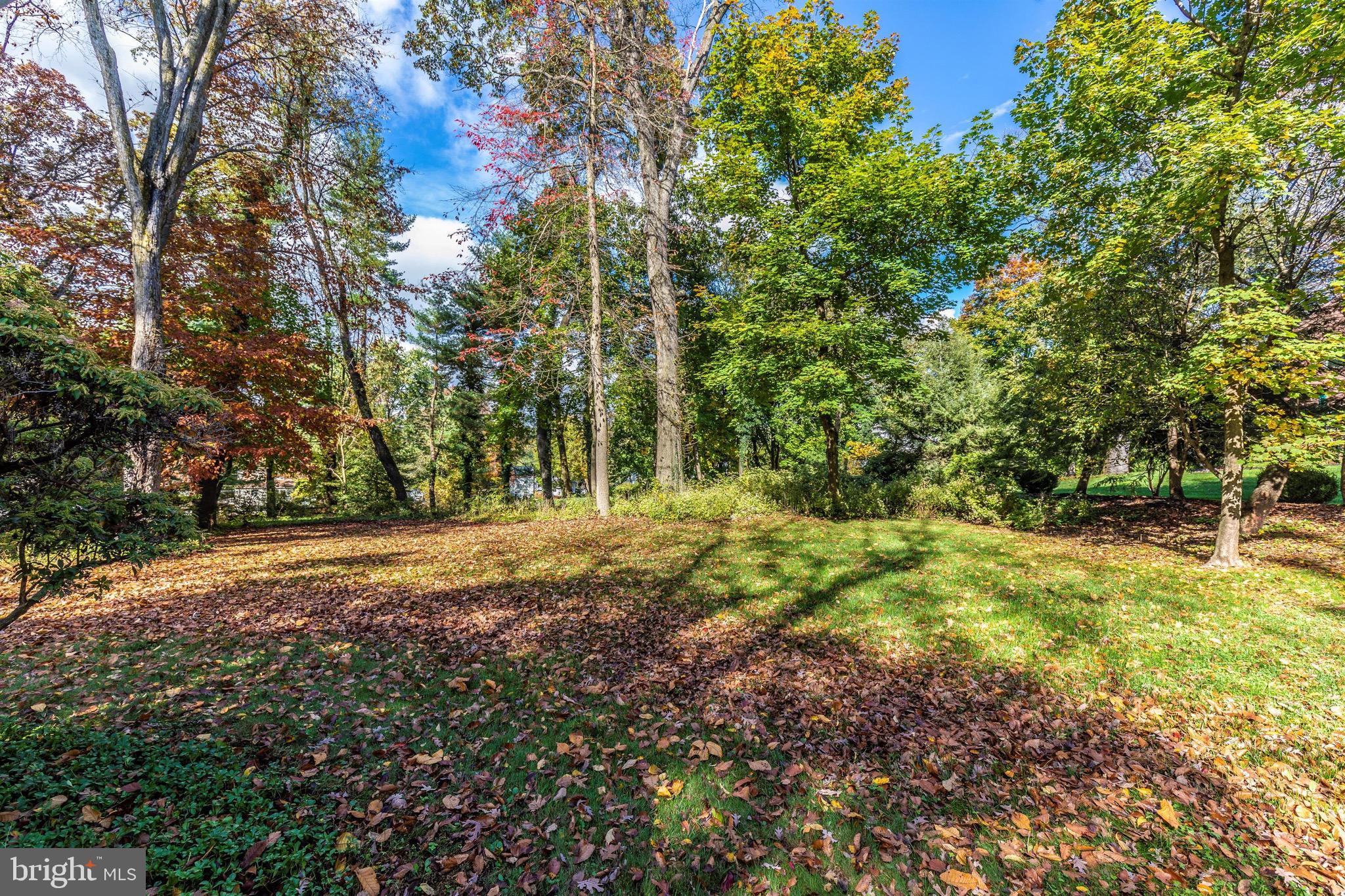 1656 Pembrook Road Ambler, PA 19002 - Photo 54 of 60 Huge yard!