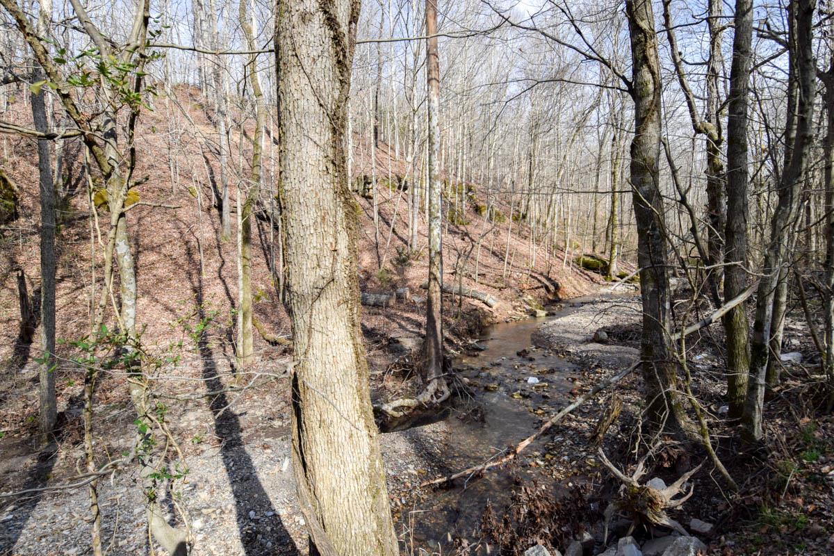 862 Bugg Hollow Road Gallatin, TN 37066 - Photo 3 of 12 Nice creek