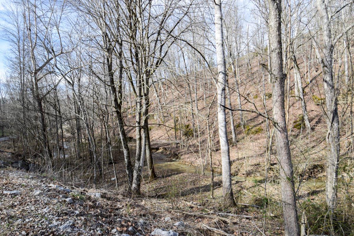 862 Bugg Hollow Road Gallatin, TN 37066 - Photo 4 of 12 Gallery Image 4