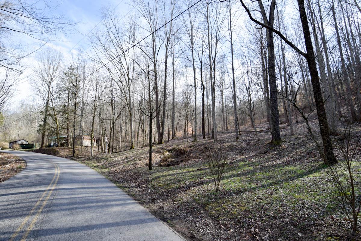 862 Bugg Hollow Road Gallatin, TN 37066 - Photo 7 of 12 Gallery Image 7