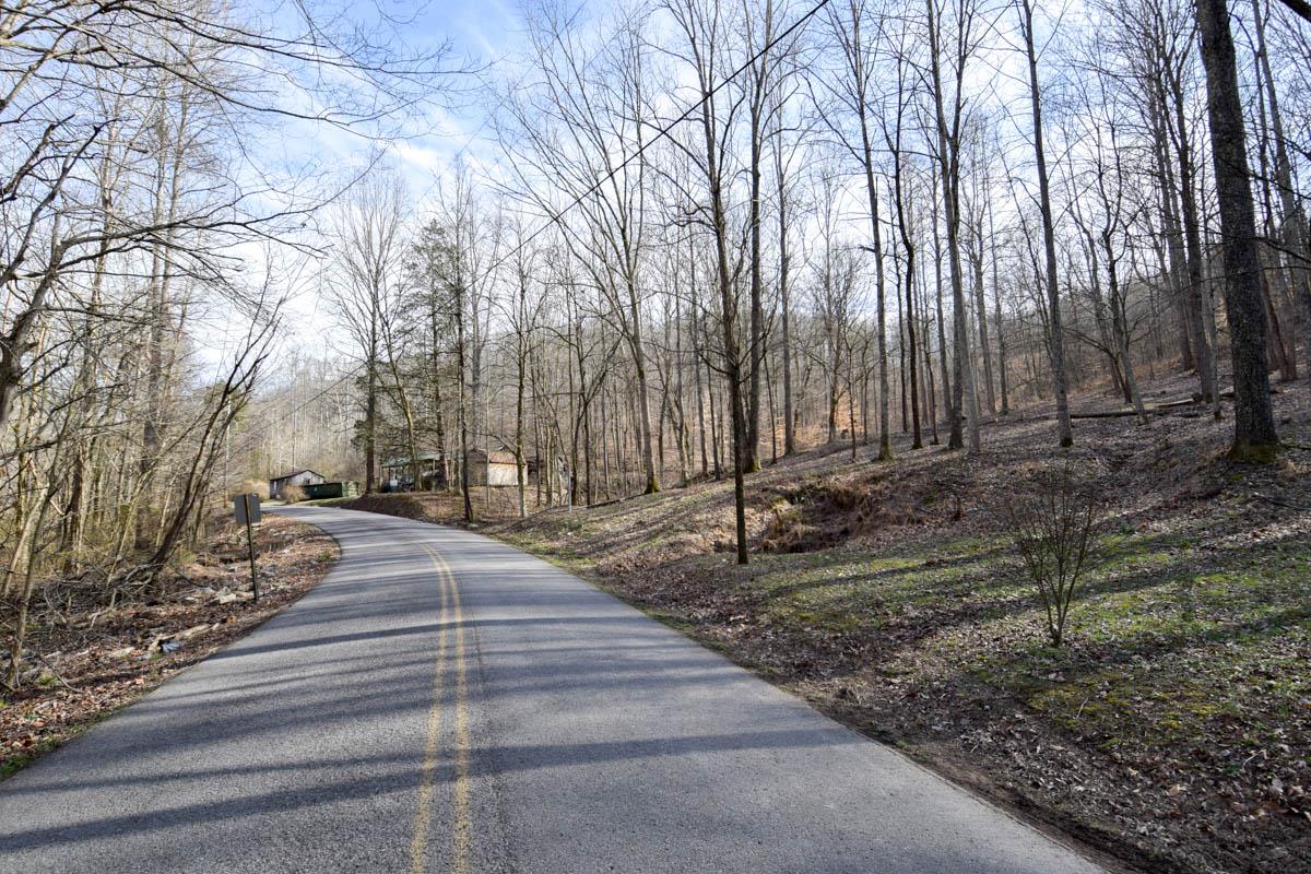 862 Bugg Hollow Road Gallatin, TN 37066 - Photo 8 of 12 Gallery Image 8