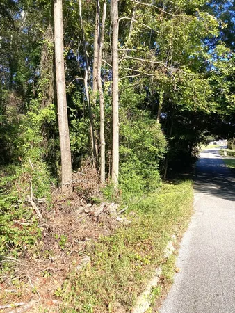 $60,000 | 0 Big Spring Drive, Phenix City, AL 36870