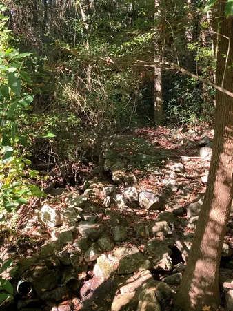 $60,000 | 0 Big Spring Drive, Phenix City, AL 36870