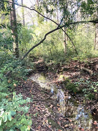 $60,000 | 0 Big Spring Drive, Phenix City, AL 36870