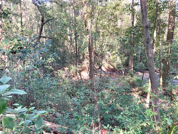 $60,000 | 0 Big Spring Drive, Phenix City, AL 36870