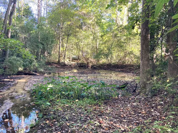 $60,000 | 0 Big Spring Drive, Phenix City, AL 36870