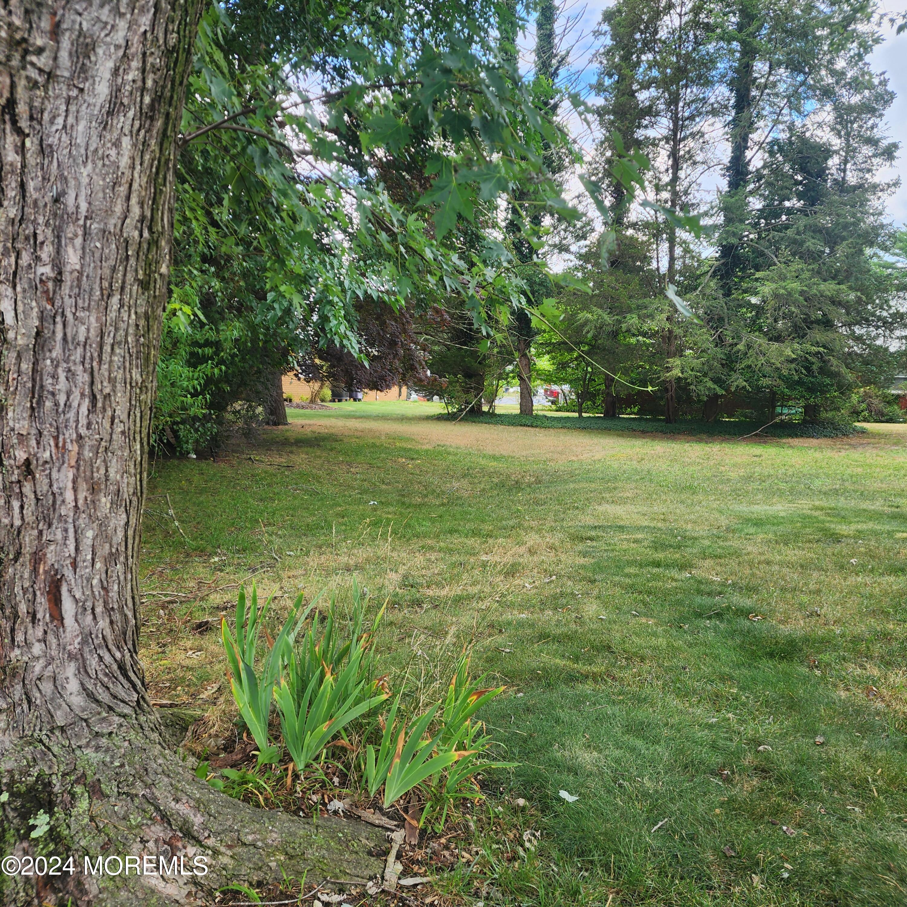 108 Hope Road, Unit D Whiting, NJ 08759 - Photo 5 of 26 a view of a field with an trees