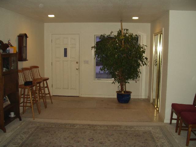 13015 Welcome Reno, NV 89511 - Photo 2 of 8 a living room with furniture and a potted plant