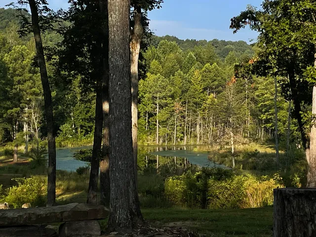 $673,999 | 266 Laurel Ridge Lane, Pikeville, TN 37367