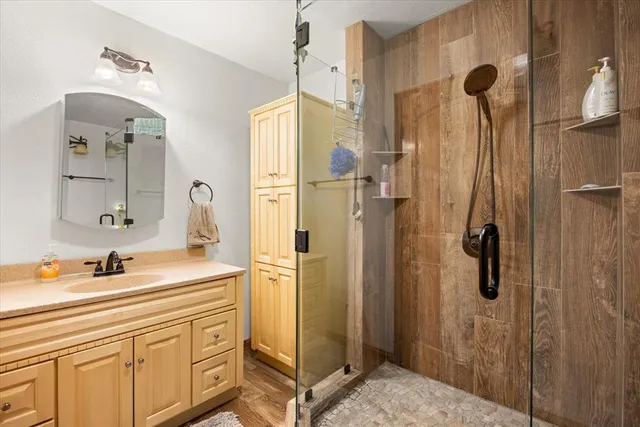 a bathroom with a sink a mirror a vanity and shower
