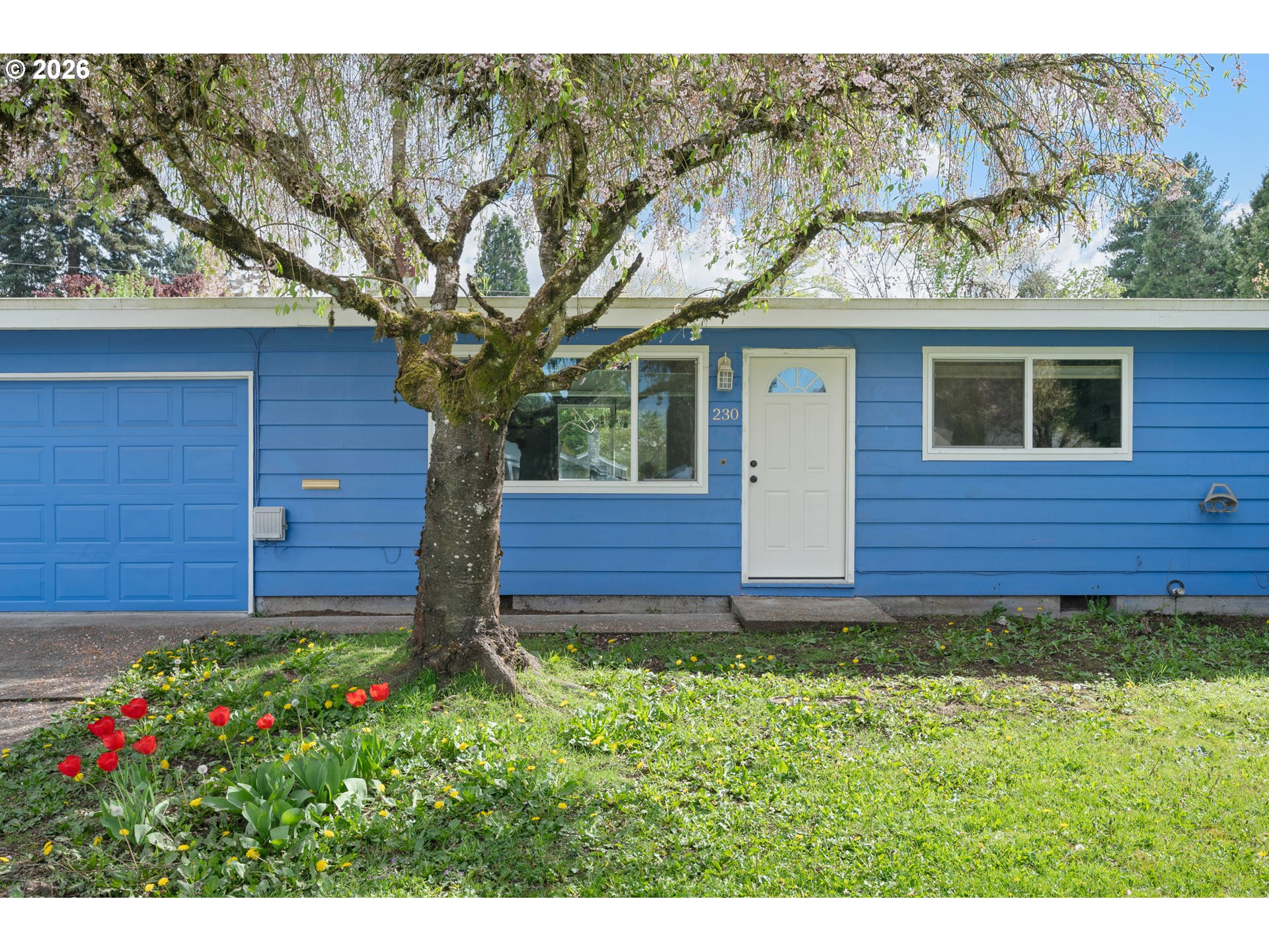 230 River Loop 2 Eugene, OR 97404 - Photo 4 of 38