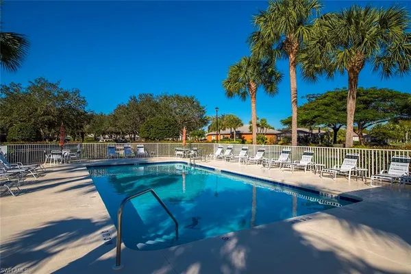a view of a swimming pool with a lawn chairs under palm trees