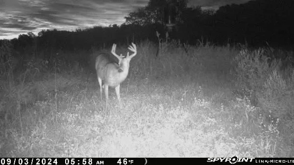 $379,999 | 1606 Oo Highway, Odessa, MO 64076