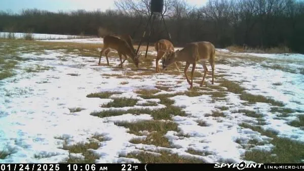 $379,999 | 1606 Oo Highway, Odessa, MO 64076