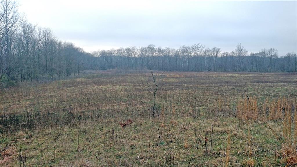 0 Mill Road Spiceland, IN 47385 - Photo 1 of 3