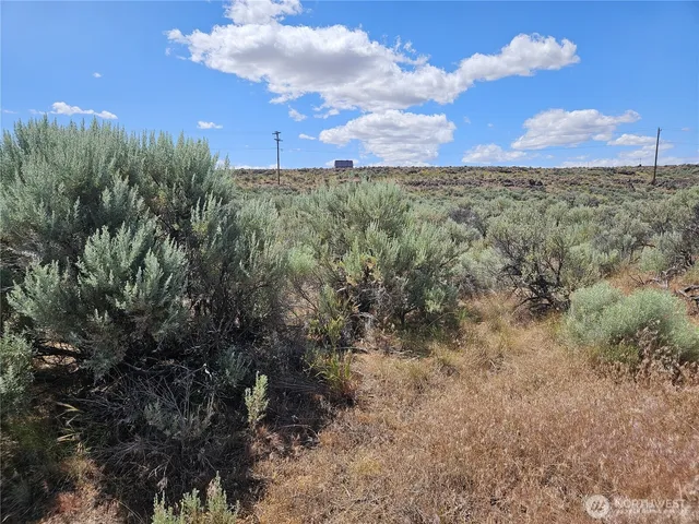 a view of beach and ocean
