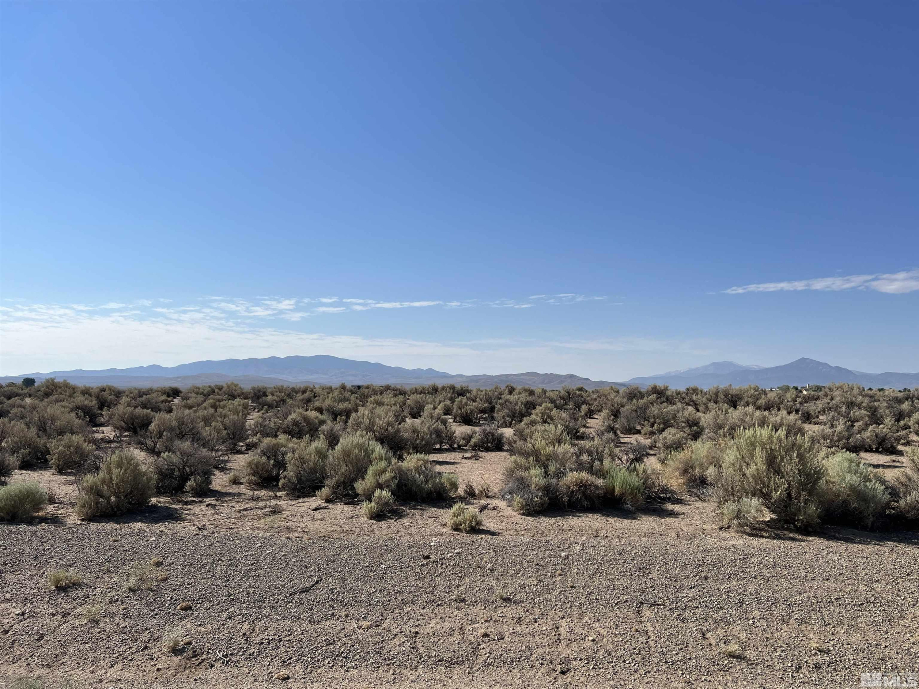 75 Desert View Drive Smith Valley, NV 89430 - Photo 2 of 6