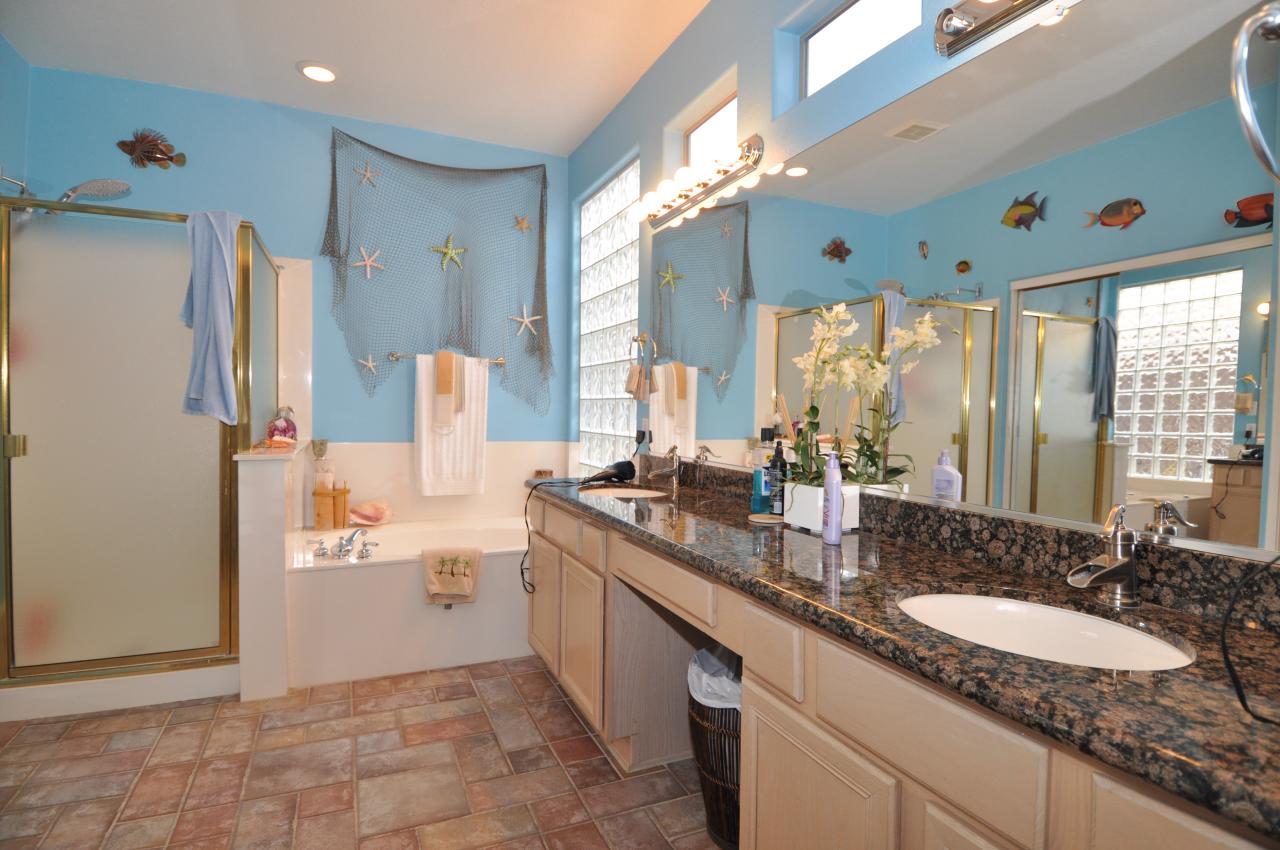4367 East Briles Road Phoenix, AZ 85050 - Photo 13 of 18 Master Bath