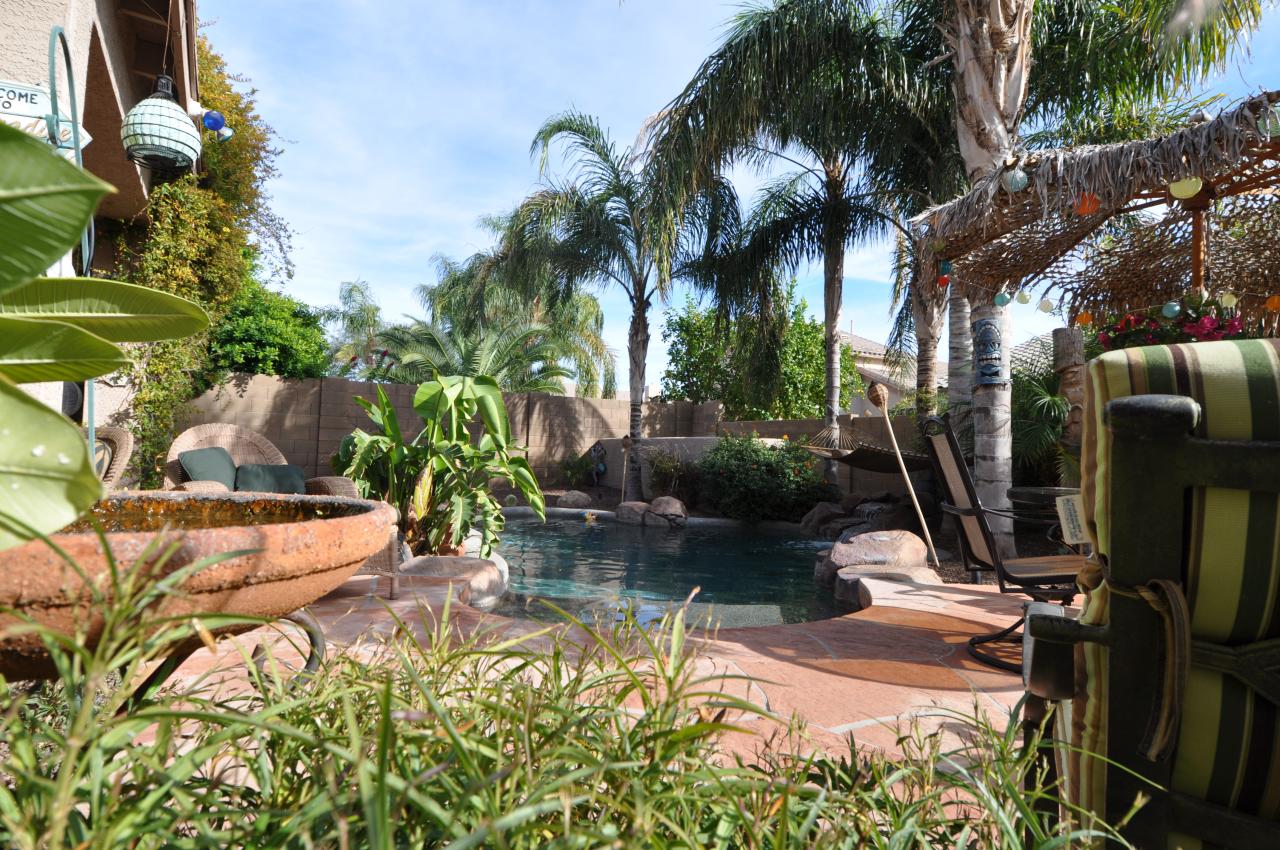 4367 East Briles Road Phoenix, AZ 85050 - Photo 17 of 18 Pool & Backyard