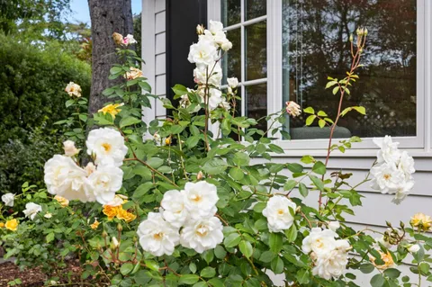 $6,750,000 | 300 Uplands Drive, Hillsborough, CA 94010