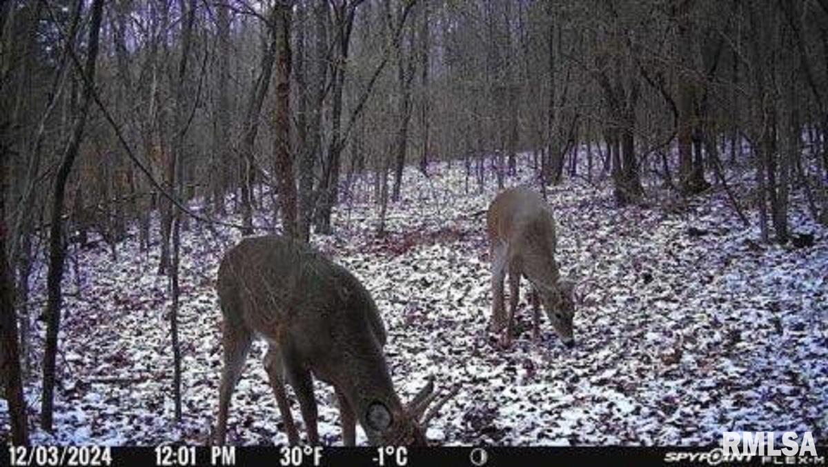 614 Bend Of River Road Cave In Rock, IL 62919 - Photo 10 of 10