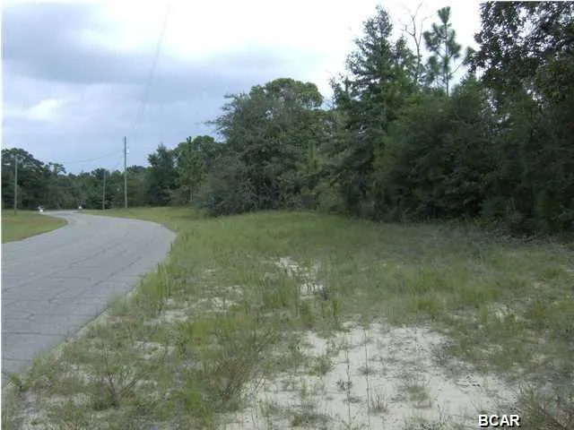 $39,900 | Lot 5 Darlington Drive, Chipley, FL 32428