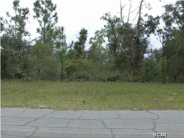 $39,900 | Lot 5 Darlington Drive, Chipley, FL 32428