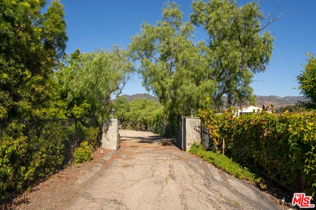 a view of a garden with pathway