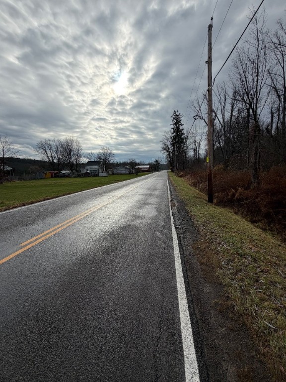 Center Street Walworth, NY 14568 - Photo 4 of 6