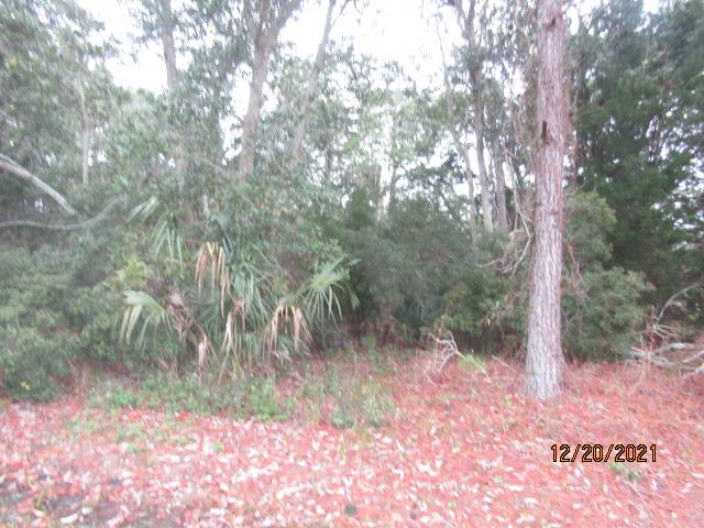 147 Doe Street Carrabelle, FL 32322 - Photo 1 of 4
