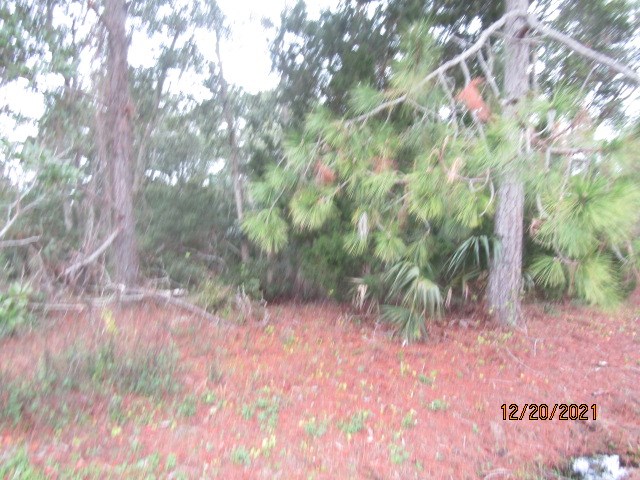 147 Doe Street Carrabelle, FL 32322 - Photo 2 of 4