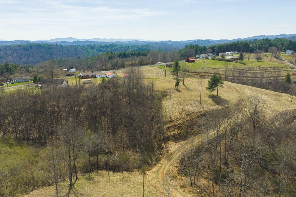 Tbd Carsonville Road Independence, VA 24348 - Photo 7 of 43 Gallery Image 7