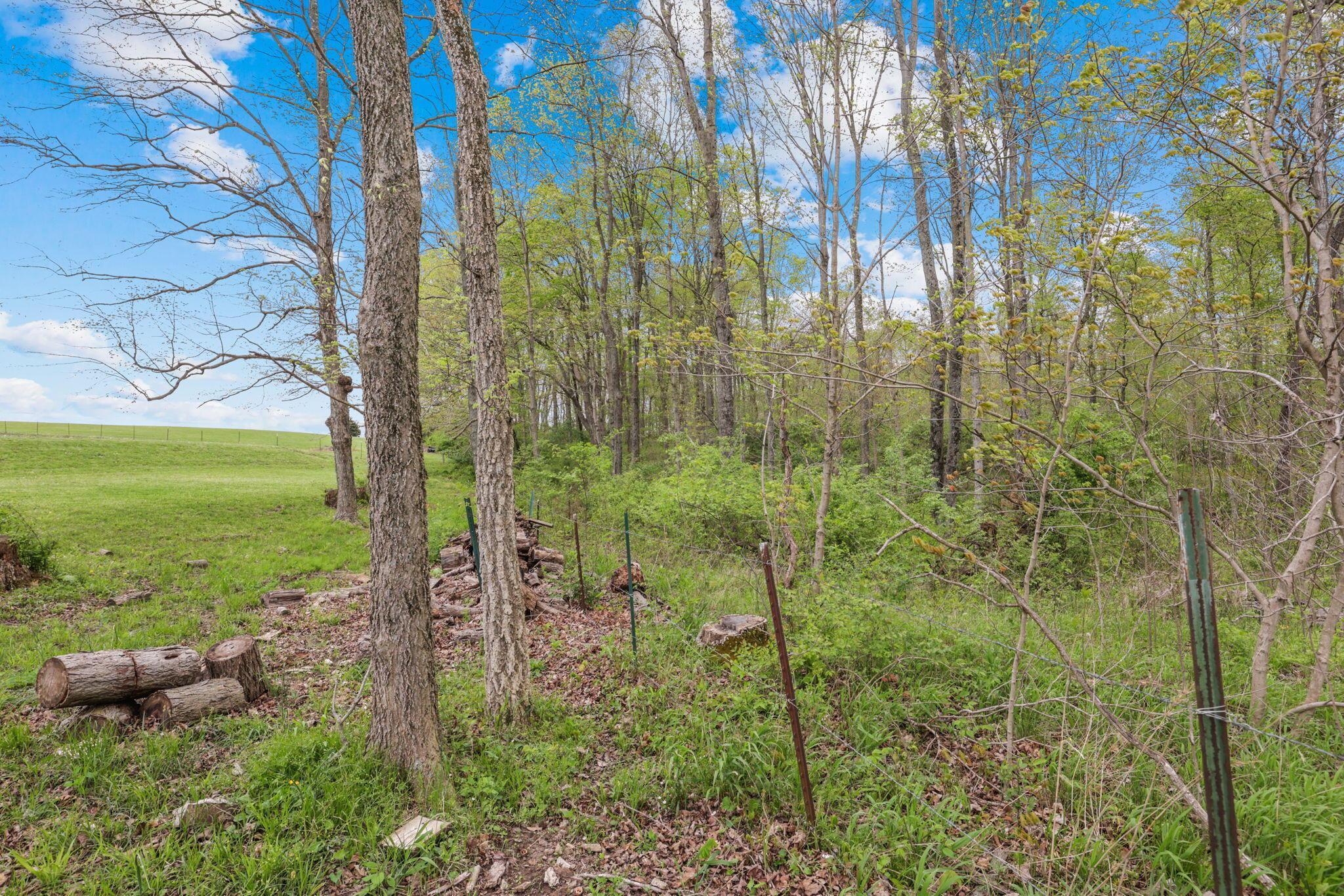 9451 Marietta Road Kingston, OH 45644 - Photo 57 of 74 57-web-or-mls-0N4A7044