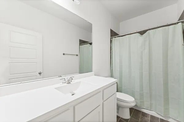 a bathroom with a sink a toilet a mirror and shower curtain
