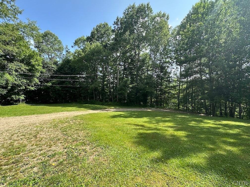4339 Back River Road Amity, NY 14880 - Photo 33 of 34
