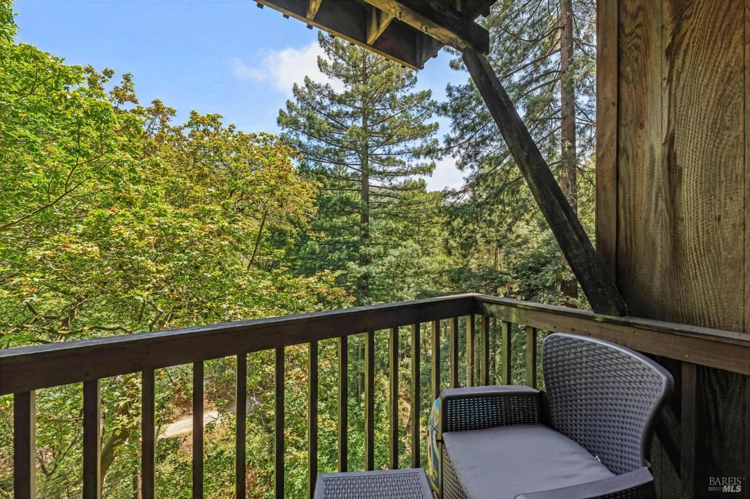 602 Ralston Avenue Mill Valley, CA 94941 - Photo 22 of 44
